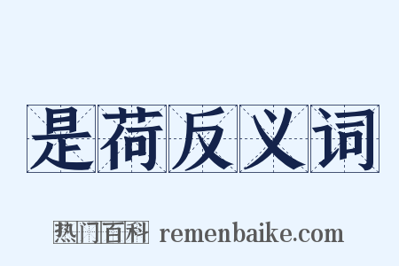 是荷反义词是什么意思的图片